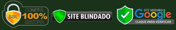 Site 100% seguro